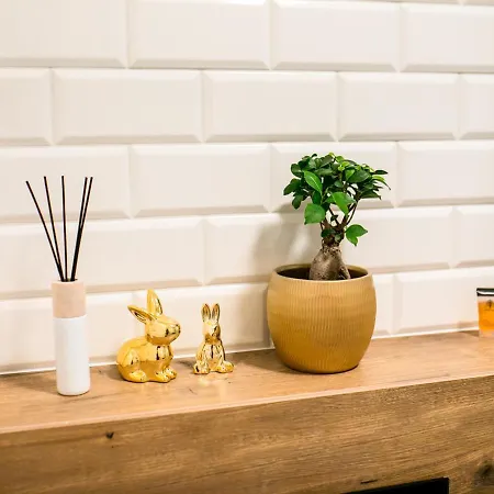 - Sinaloa Ruda Slaska